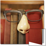 Joke Glasses and Nose in Bookshelf Art on Acrylic