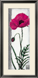 Buy Poppy Bloom III at AllPosters.com