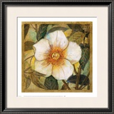 Buy White Magnolia I at AllPosters.com