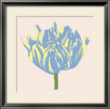 Soho Tulip I