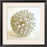 Buy Shell III at AllPosters.com