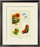 Buy Summer at AllPosters.com