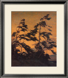 Buy Pine Island, Georgian Bay at AllPosters.com