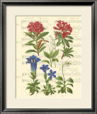 Buy Allegro I at AllPosters.com