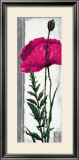 Buy Poppy Bloom II at AllPosters.com