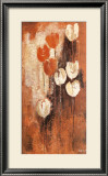 Buy Red and White Tulips II at AllPosters.com