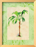 Palm Breezes II