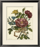 Buy Floral Posy II at AllPosters.com