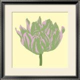 Soho Tulip IV