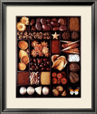 Buy Shells at AllPosters.com