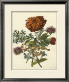 Buy Floral Posy III at AllPosters.com