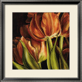 Buy Color Harmony I at AllPosters.com