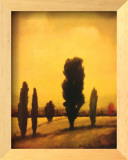 Buy Blind Observation at AllPosters.com