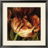 Buy Color Harmony II at AllPosters.com
