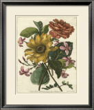 Buy Floral Posy I at AllPosters.com