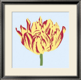 Soho Tulip II