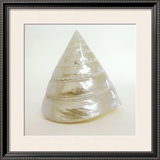Buy Shell I at AllPosters.com