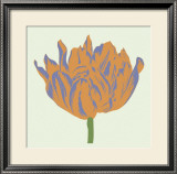 Soho Tulip III