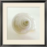 Buy Shell IV at AllPosters.com