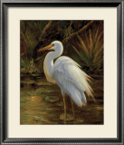 Buy Tropical Egret II at AllPosters.com