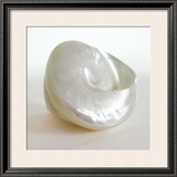 Buy Shell II at AllPosters.com