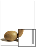 Buy Kiwi Fruits on White Background at AllPosters.com