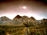 Mojave Desert, Las Vegas, Nevada