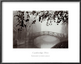 Cambridge Mist