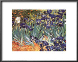 Irises, Saint-Remy, c.1889 Lamina Framed Art Print