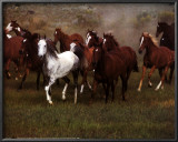 Wild Horses