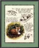 Buy Fox Study at AllPosters.com