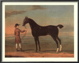 Racehorse Victorius