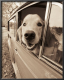 Are We There Yet