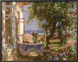 Shady Patio
