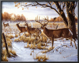 Cautious Crossing