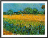 Buy View of Arles with Irises at AllPosters.com