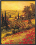 Toscano Valley II
