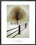 Buy Solitude at AllPosters.com