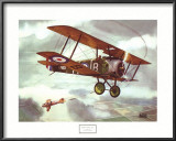 Sopwith Camel, 1917