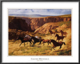 Buy Canyon Mustangs at AllPosters.com