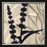 Buy Botanical Elements I at AllPosters.com