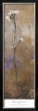 Buy Flowers of June Series II at AllPosters.com