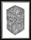 Abstract Black Hexagon Room