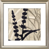 Buy Botanical Elements I at AllPosters.com
