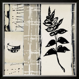 Buy Acacia at AllPosters.com