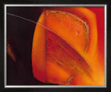 Buy In Motion III at AllPosters.com