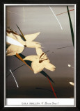 Buy Brown Scene I at AllPosters.com