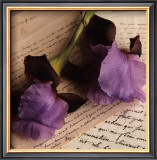Buy Rose sur Livres II at AllPosters.com