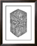 Abstract Black Hexagon Room