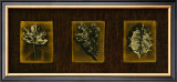 Buy Block Leaf Panel II at AllPosters.com